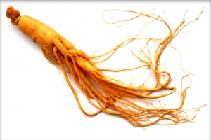 Ginseng root herb