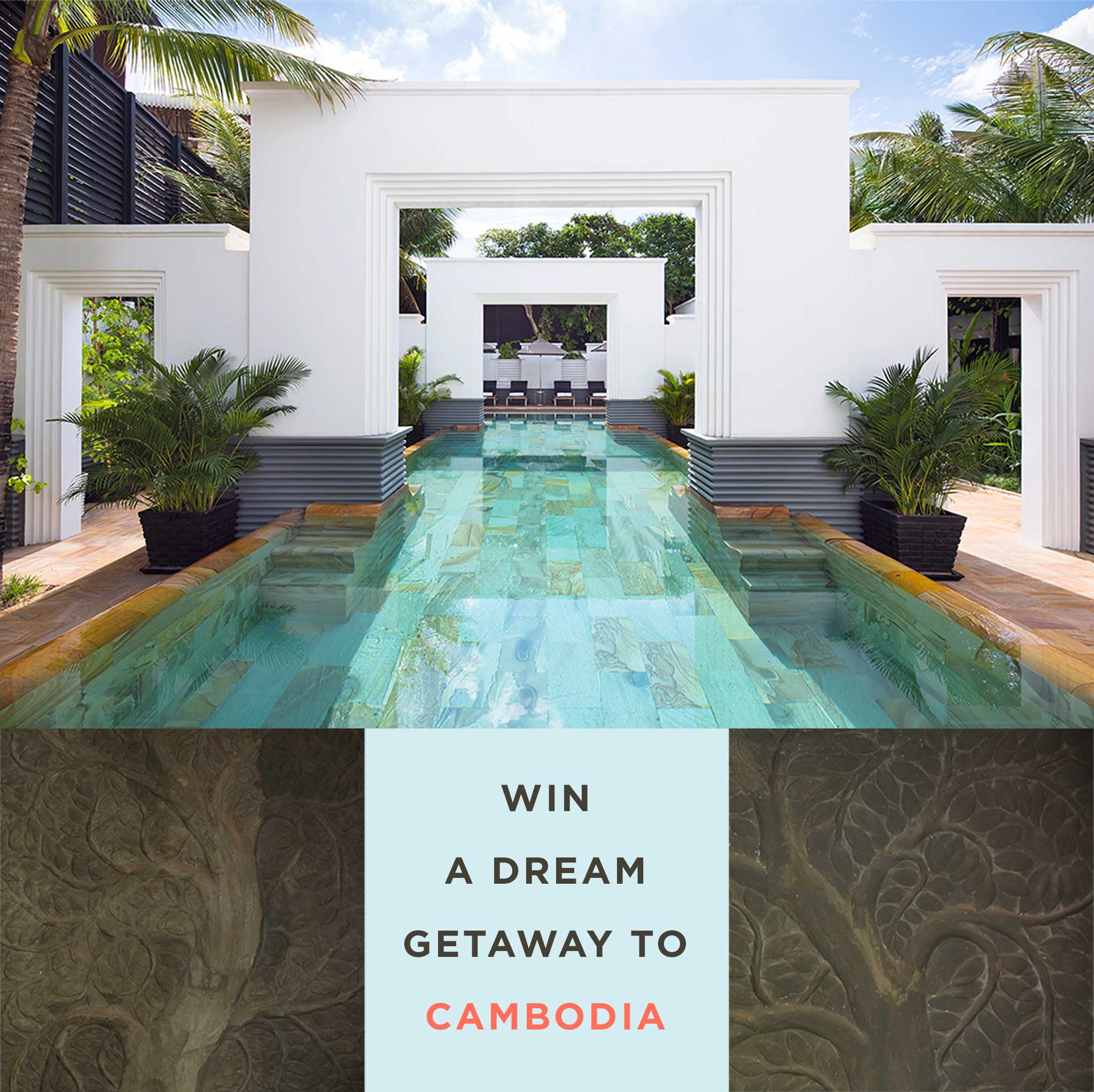 Kiwi Collection – Cambodia Trip Giveaway